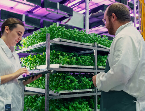 Vertical Farming and Smart Commercial Greenhouses